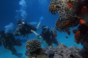 Tutto quello che devi sapere sul diving una guida completa