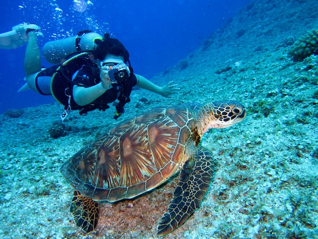 Guida ai migliori diving clubs scopri i tesori sommersi del mare